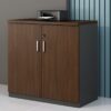 Sleek Modern Wood Storage Cabinet with a smooth finish, featuring double doors and a locking mechanism, ideal for office or home storage.