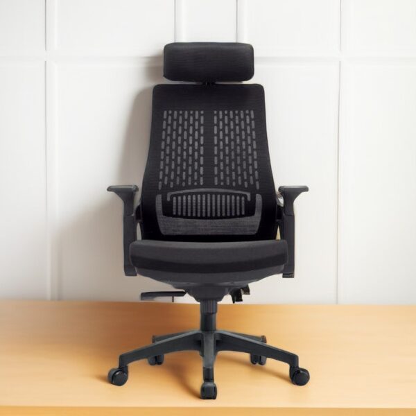 Aurora Ergonomic Office Chair with breathable mesh back and adjustable features