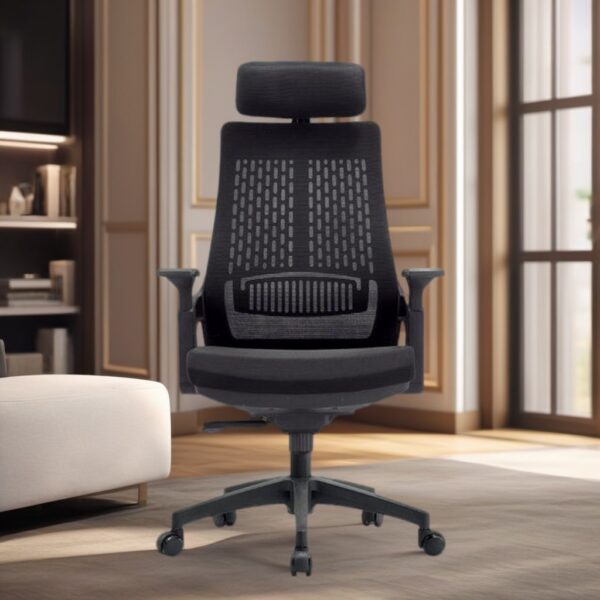 Aurora Ergonomic Office Chair with breathable mesh back and adjustable features