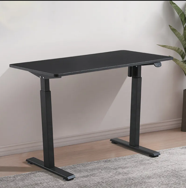 Electric Height Adjustable Standing Desk with 48 x 24 inch workspace and preset height buttons